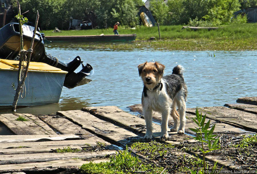 Рыбалка на реке Камчатка и отдых в поселке Ключи. Ключи, Россия