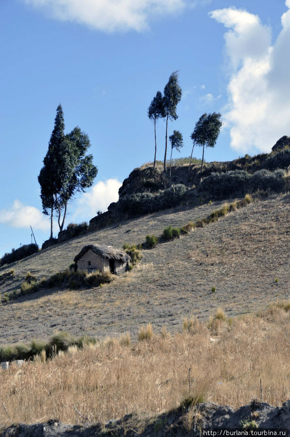 Домик пастуха Пухили, Эквадор