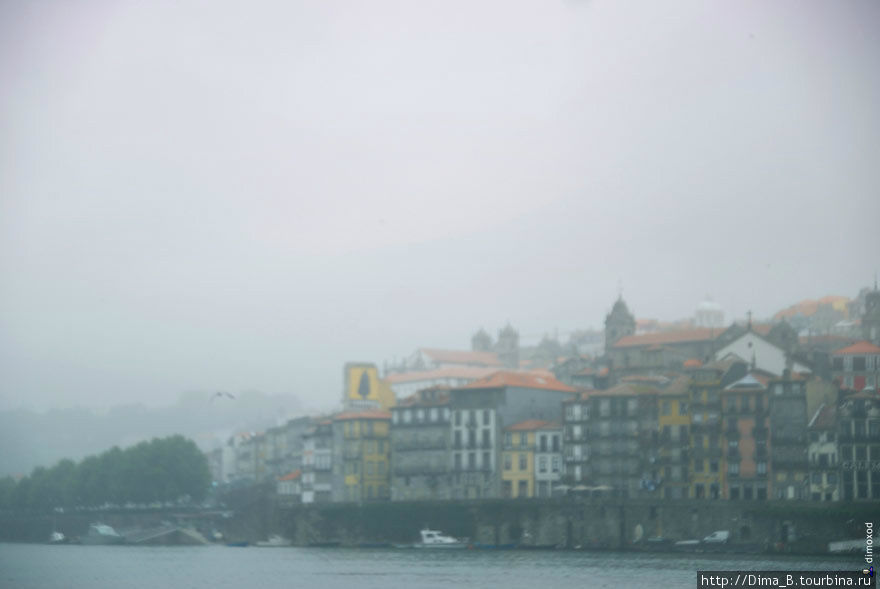 Туман  сначала был слабенький, а потом все гуще и гуще. В какой то момент даже фотоаппарат перестал фокусировался. Порту, Португалия