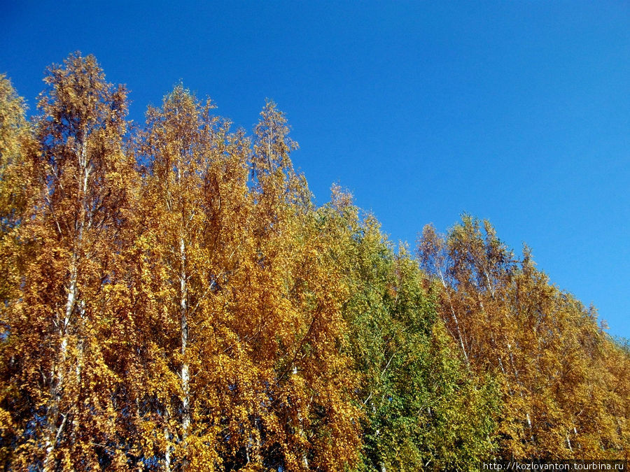 Золотая осень в Бачатском.