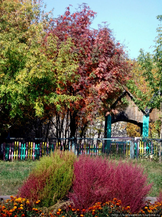 Золотая осень в Бачатском. Бачатский, Россия
