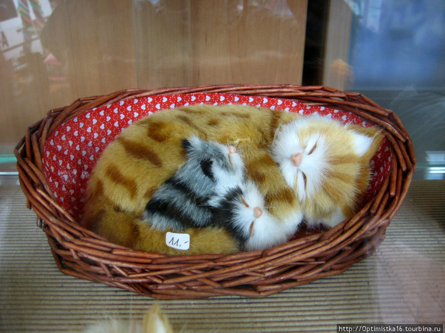 Санкт-Йохан-им-Понгау. Кошки. Увы, только сувенирные. Санкт-Йохан-им-Понгау, Австрия