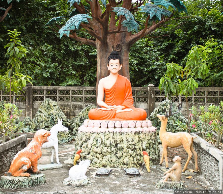 Все живые существа приходят к Будде. Кто как себя вел при жизни, в то  животное и привратился после смерти Бан-Банг-Саен, Таиланд
