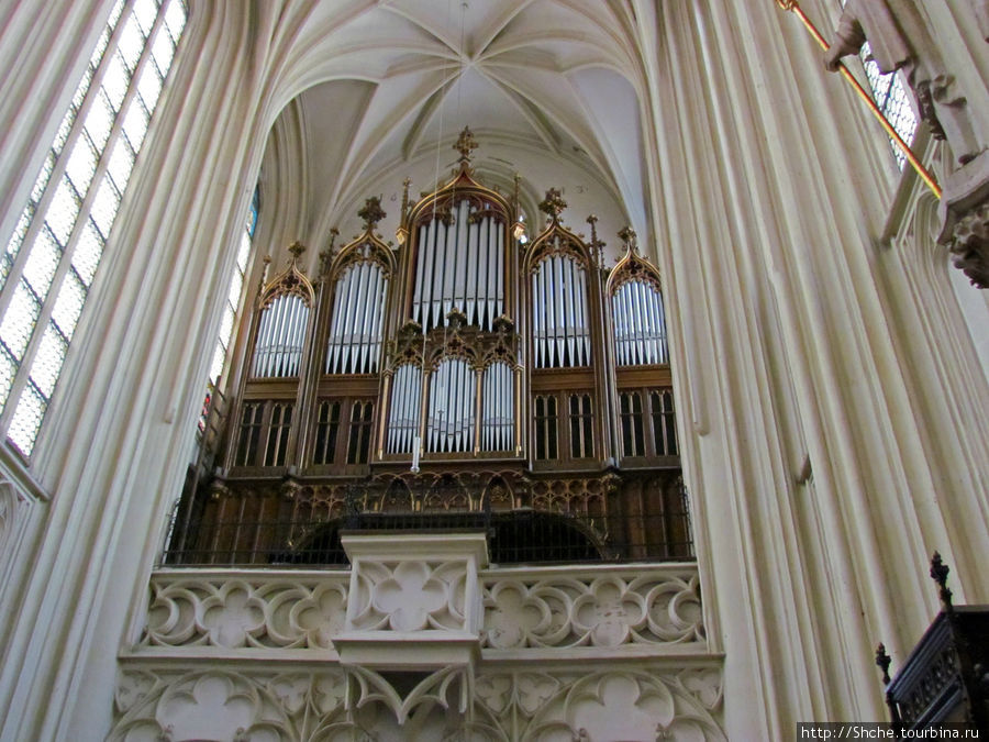 церковный орган Вена, Австрия