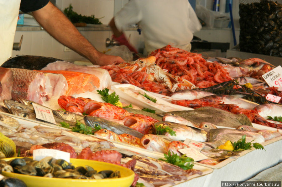 Рыбный рынок. Маон, остров Менорка, Испания