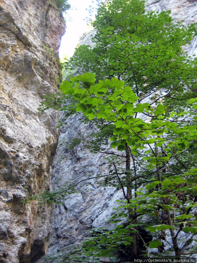 Прогулка к водопаду по ущелью Лихтенштайнкламм. Санкт-Йохан-им-Понгау, Австрия