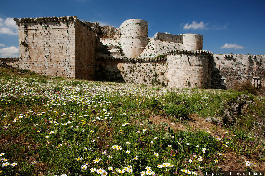 Замок крестоносцев Крак де Шевалье. Хаваш, Сирия