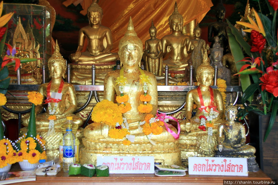 Ват Амаринтхарарам Воравихар — пантеон Будд Бангкок, Таиланд