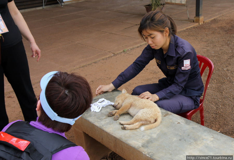 Заботливая охрана Сиемреап, Камбоджа