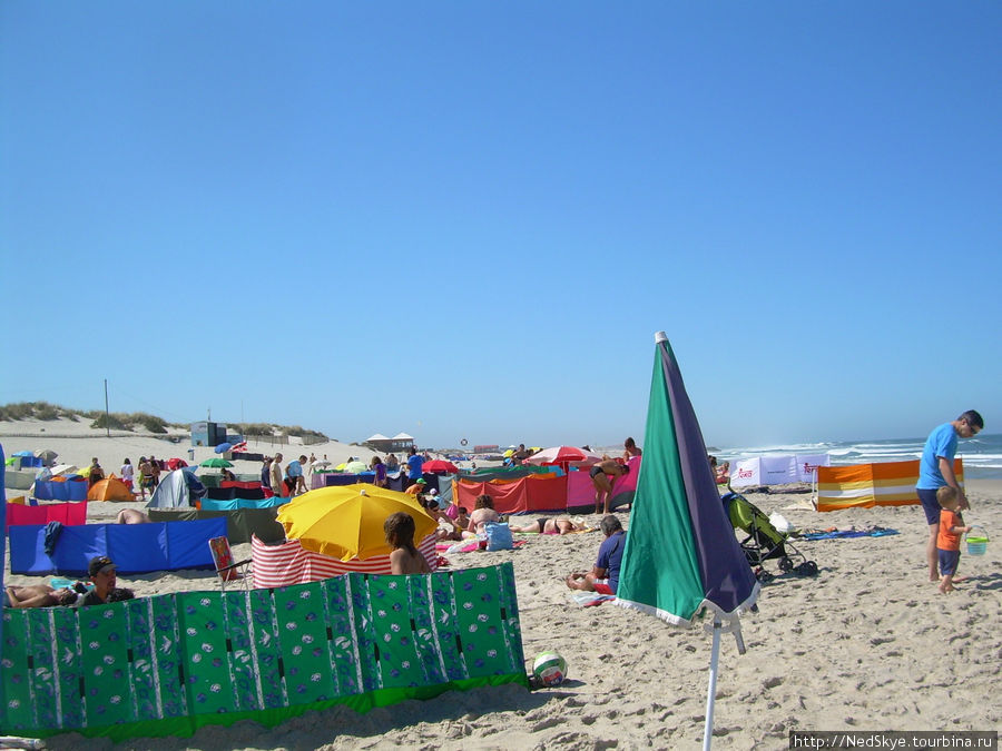 Praia da Barra Авейру, Португалия