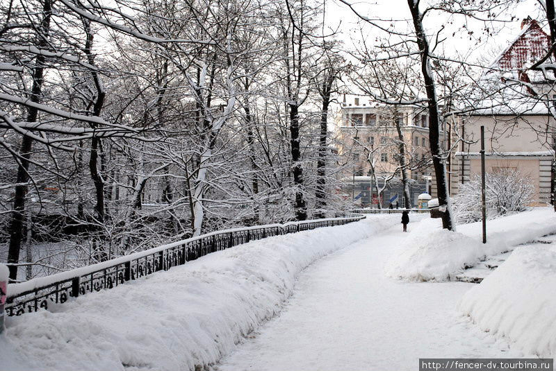 Вспоминая зиму: по заснеженным улицам Калининграда Калининград, Россия