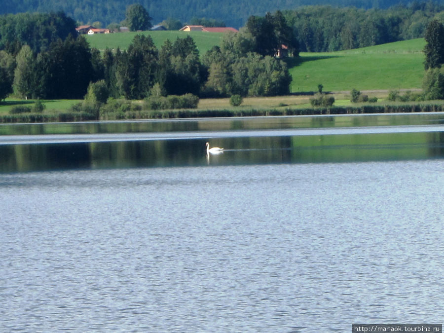 Озеро Hopfensee Земля Бавария, Германия