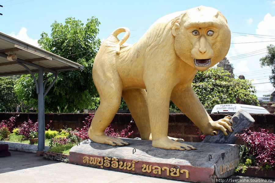 Эта обезьяна в высоту более двух метров Лоп-Бури, Таиланд