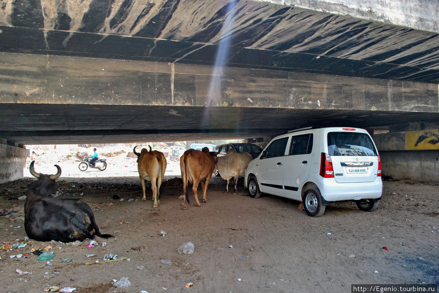 Наверное, самый чистый город Индии... Ахмадабад, Индия