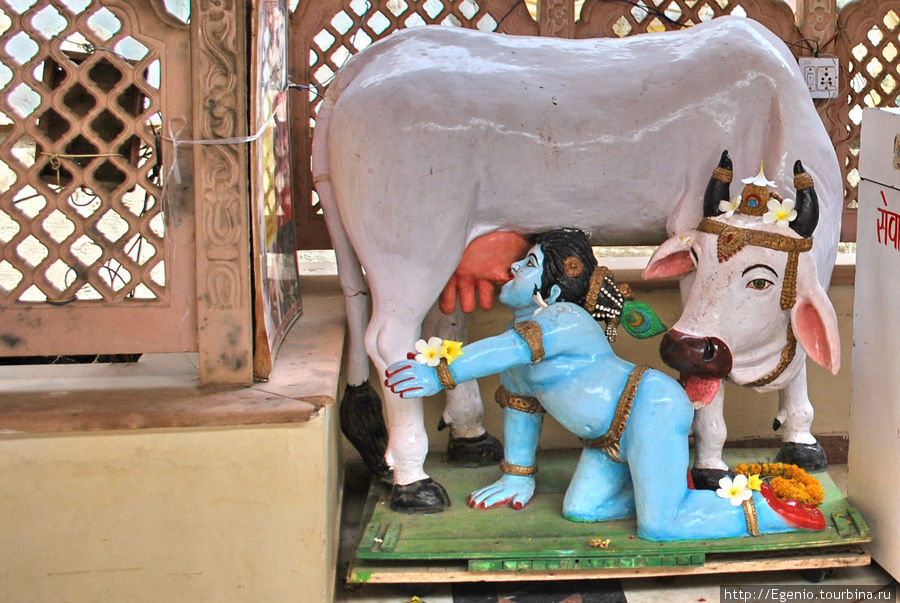 в кришнаитском храме, в котором фоткать запрещено :) Ахмадабад, Индия