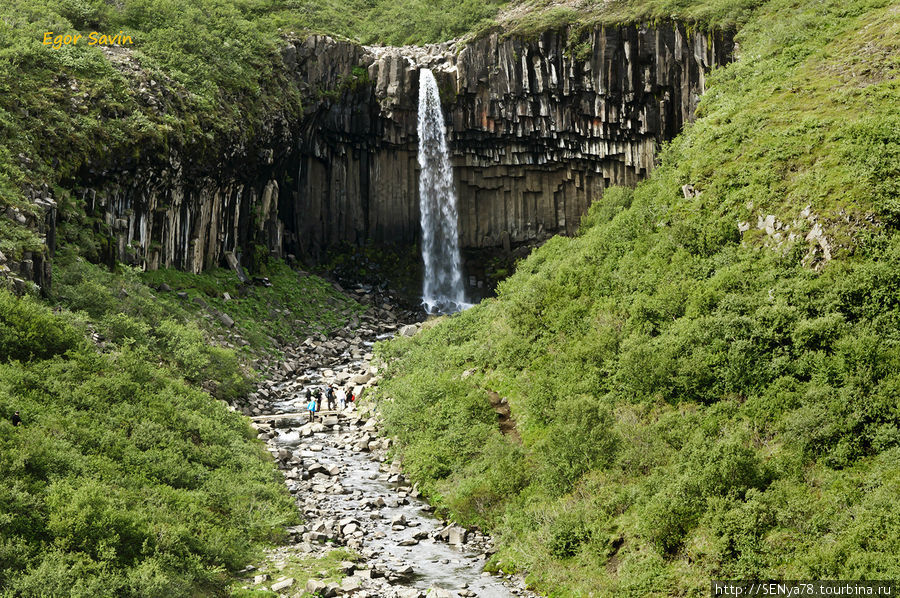 Водопад Svartifoss Южная Исландия, Исландия
