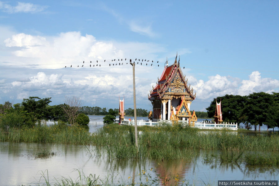 По затопленной провинции Пхичит Северный Таиланд, Таиланд