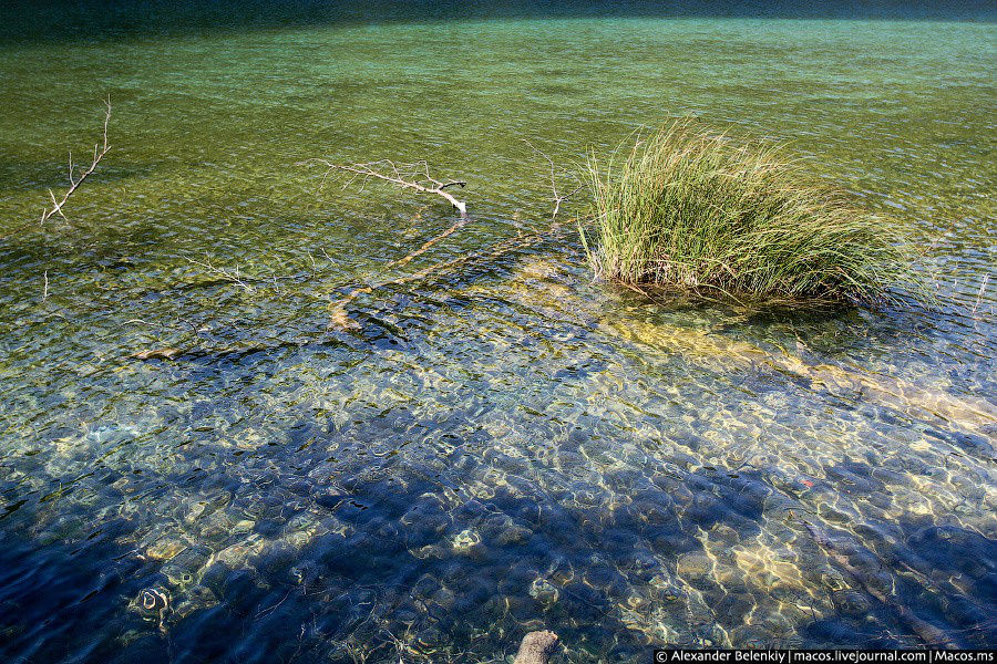 Скажу честно — купаться хотелось ОЧЕНЬ!!! Национальный парк Плитвицкие озёра, Хорватия