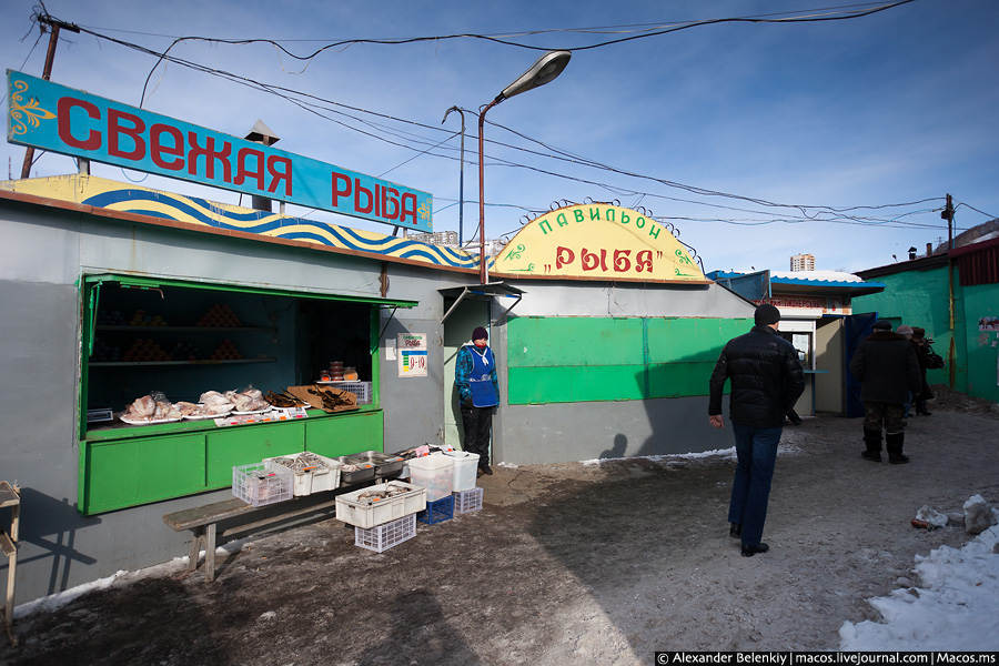 Наверное, только в таких местах могут быть базары, которые торгуют только рыбой. Петропавловск-Камчатский, Россия