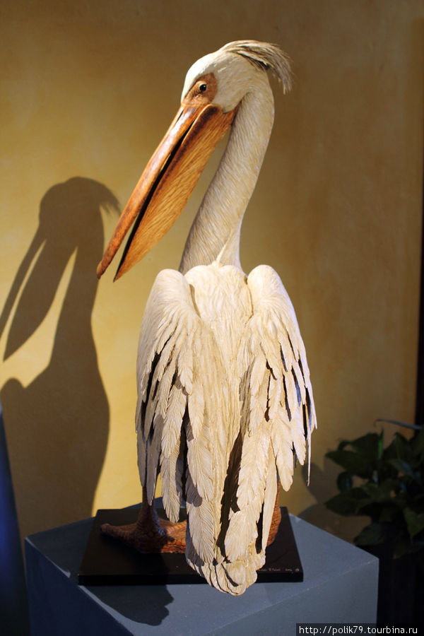 Выставка в замке. Как уже было сказано, ни один пеликан не пострадал. Портофино, Италия