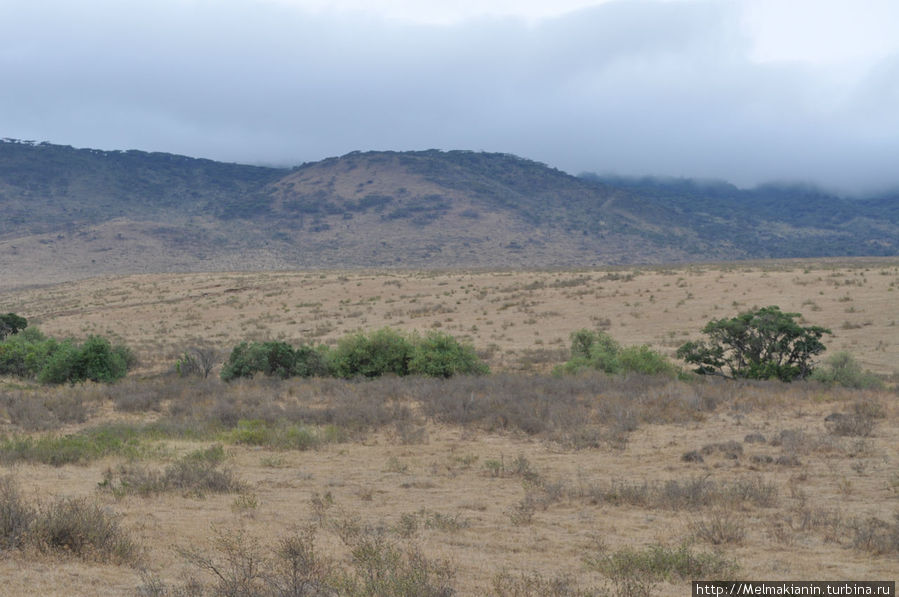 Нгоронгоро Сопа Лодж Нгоронгоро (заповедник в кратере вулкана), Танзания