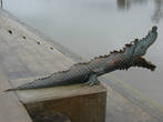 Крокодилы в Кучинге также, как и кошки, не живые, застывшие в камне или бронзе