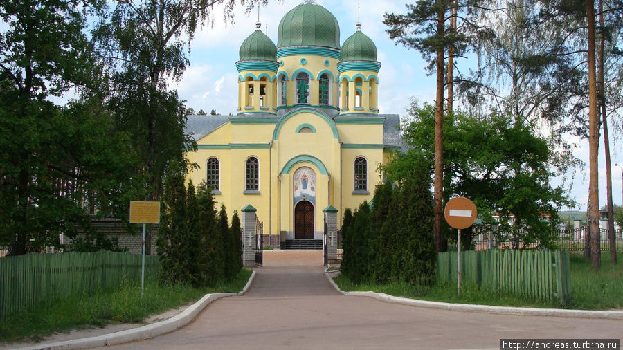 Украинская православная Свято-Покровская церковь