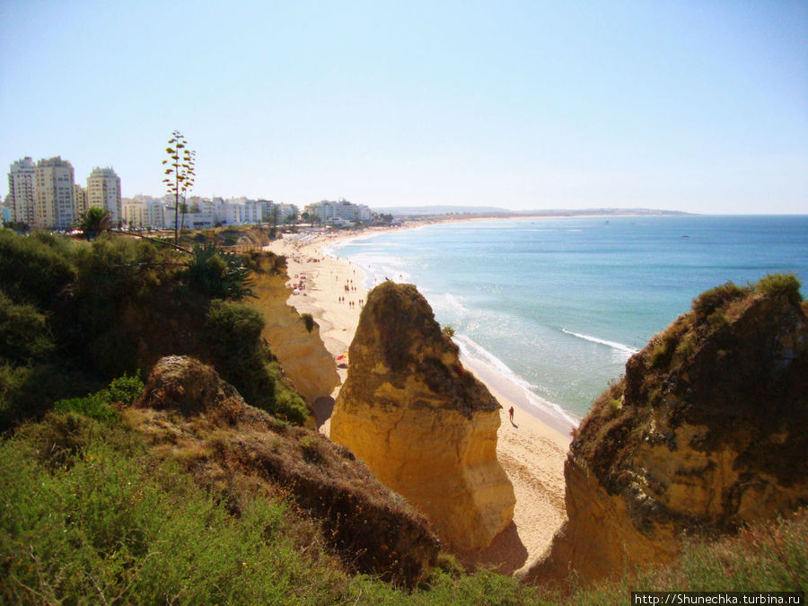 Так пляж выглядит летним утром с прибрежных скал. Регион Алгарве, Португалия