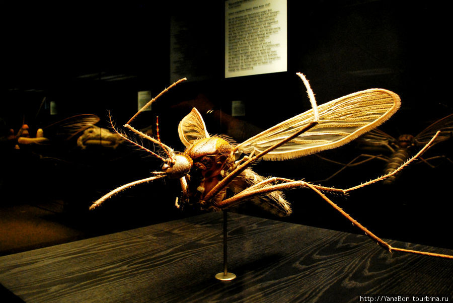 Гигантский макет самки комара Берлин, Германия