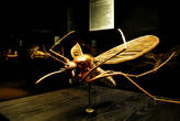 Гигантский макет самки комара