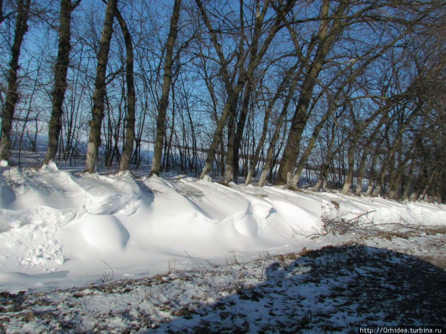 Ветер, ветер, ты могучий. Ты гоняешь ... снега кучи Полтавская область, Украина
