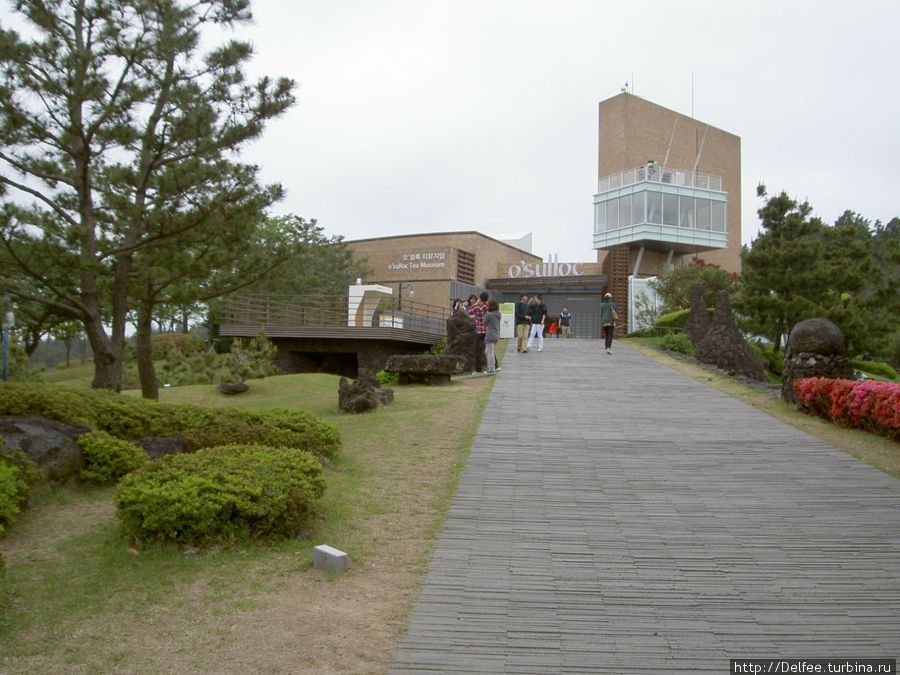 Музей Зеленого чая Согипо, Республика Корея