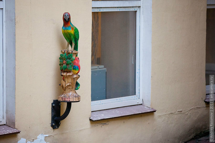 Птичий дворик Санкт-Петербург, Россия