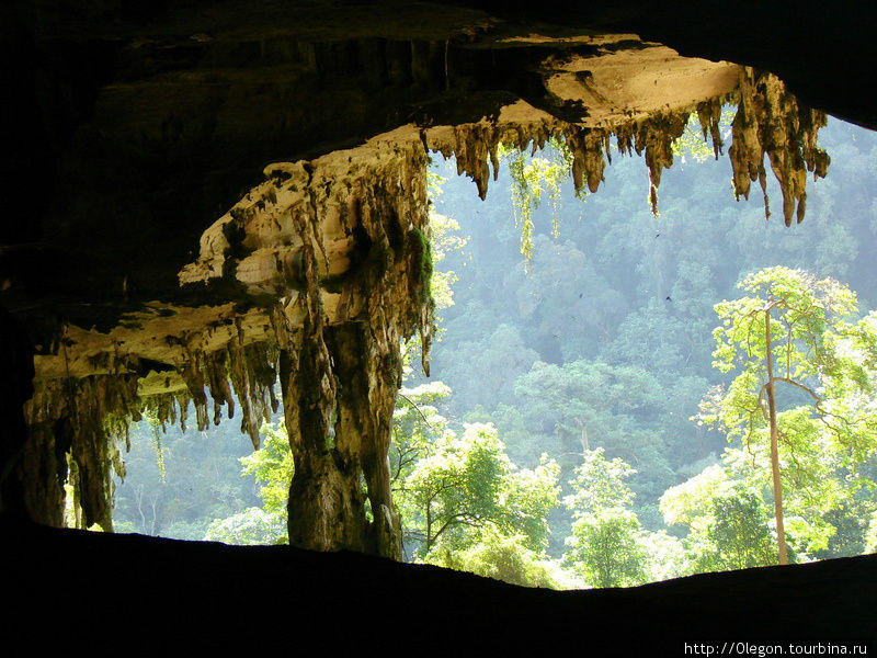 Высота пещер Ниах достигает более пятидесяти метров Мири, Малайзия