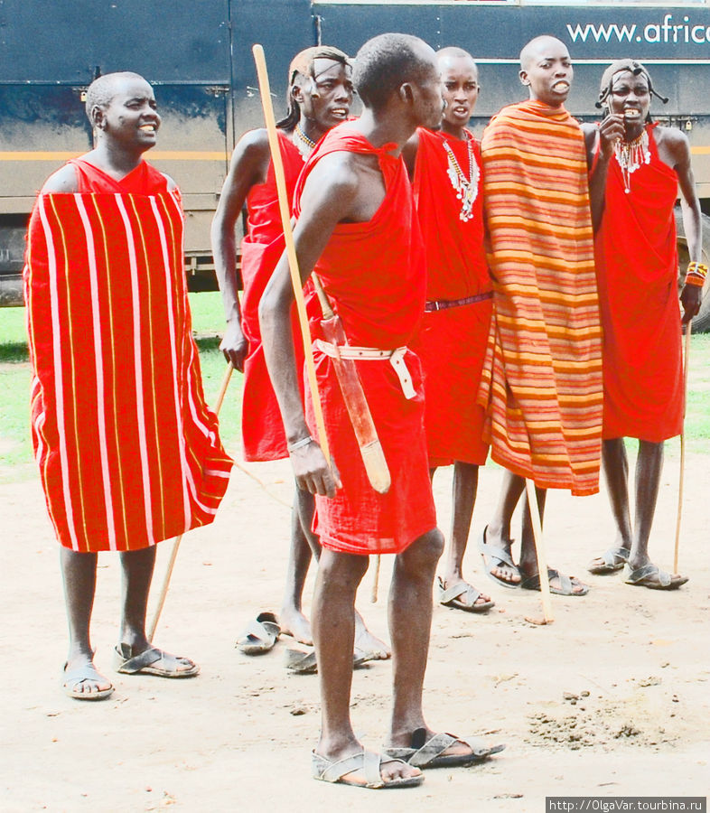 На вооружении у масаев есть острые ножи с острым  лезвием под 30 сантиметров Масаи-Мара Национальный Парк, Кения
