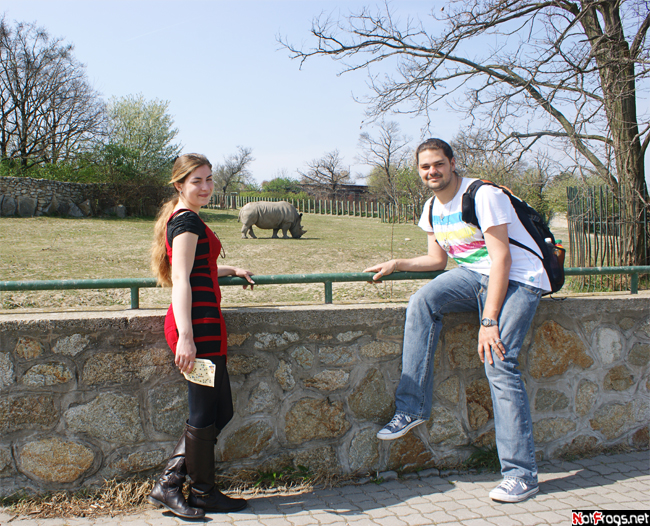 Те же и носорог Братислава, Словакия
