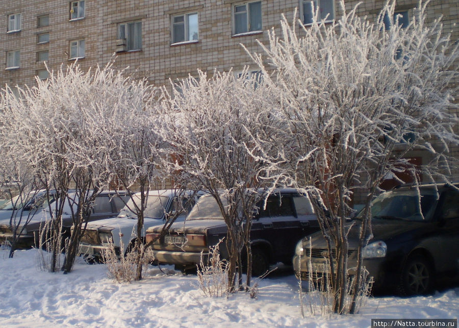 Зимняя сказка Алтайский край, Россия