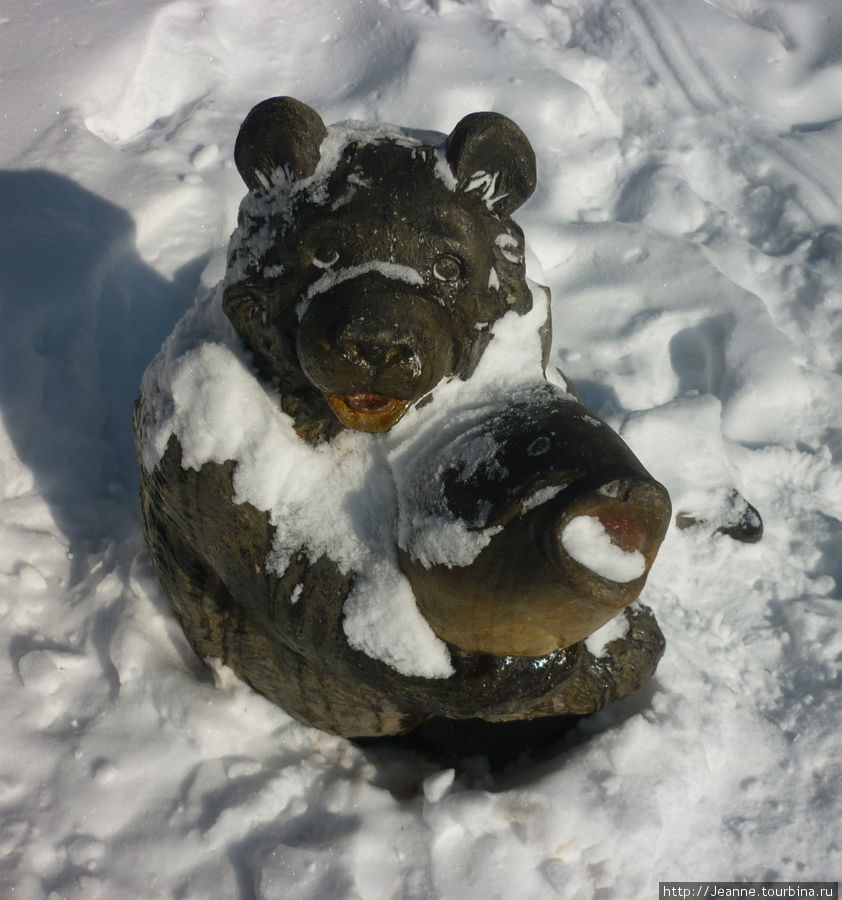 А это медвежонок-сын с большой рыбиной. Всё понятно — собираются отметить праздник Рождества! Хабаровск, Россия
