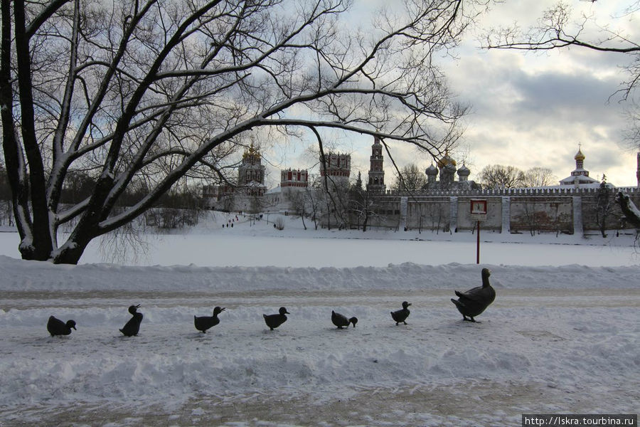 Середина зимы в Новодевичьем монастыре Москва, Россия