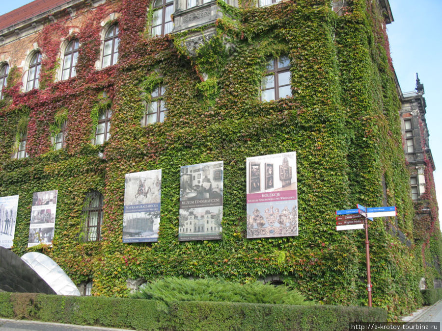 здание музея Вроцлав, Польша