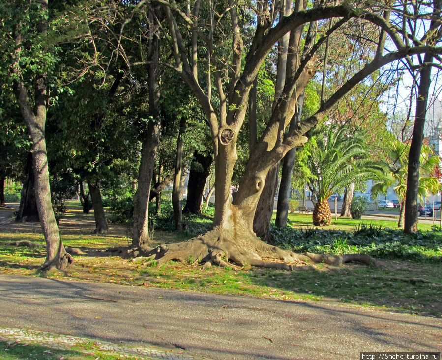 Сад Campo Grande — здесь не ступает нога туриста Лиссабон, Португалия