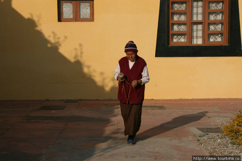 Дхарамсала. Тибет в изгнании Дхарамсала, Индия
