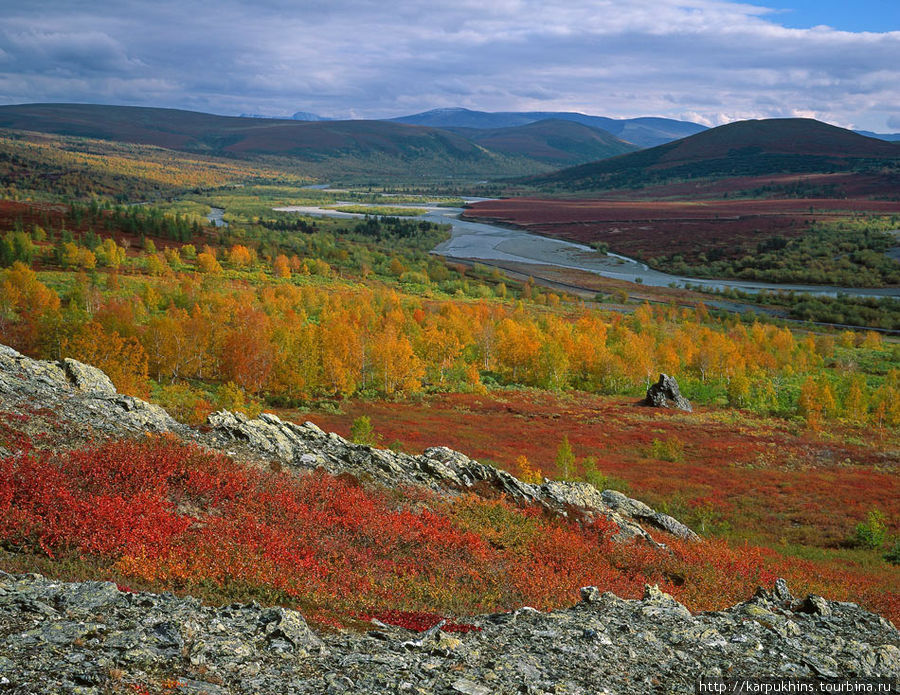 Долина Соби. Вид на восток. Ямало-Ненецкий автономный округ, Россия