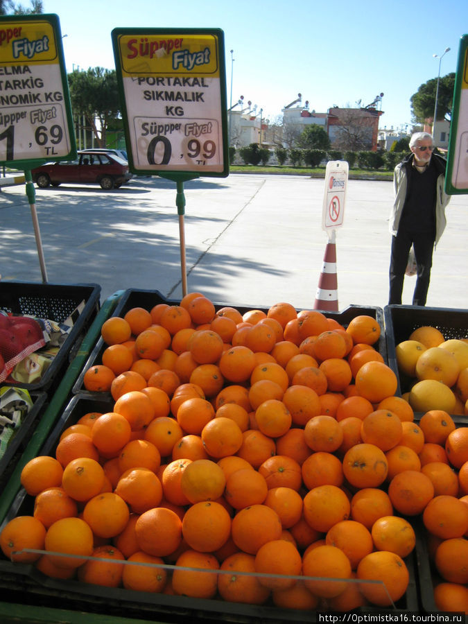 Апельсины сейчас стоят дёшево. 99 курушей = 0,99 лиры. Сезон. Дидим, Турция