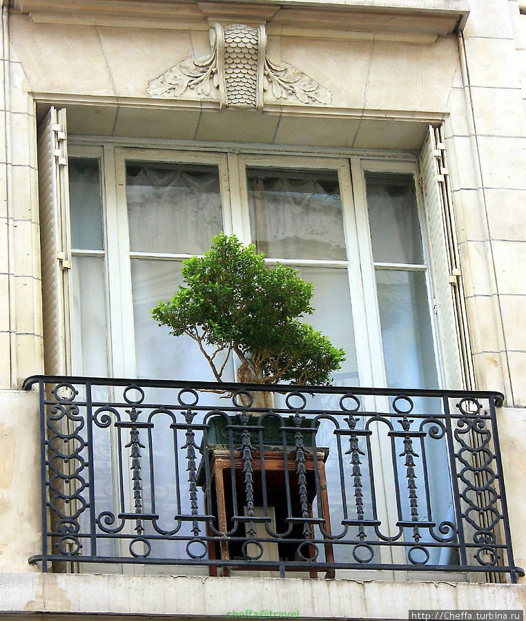 Балконы  с зелёными деревьями.. Париж, Франция