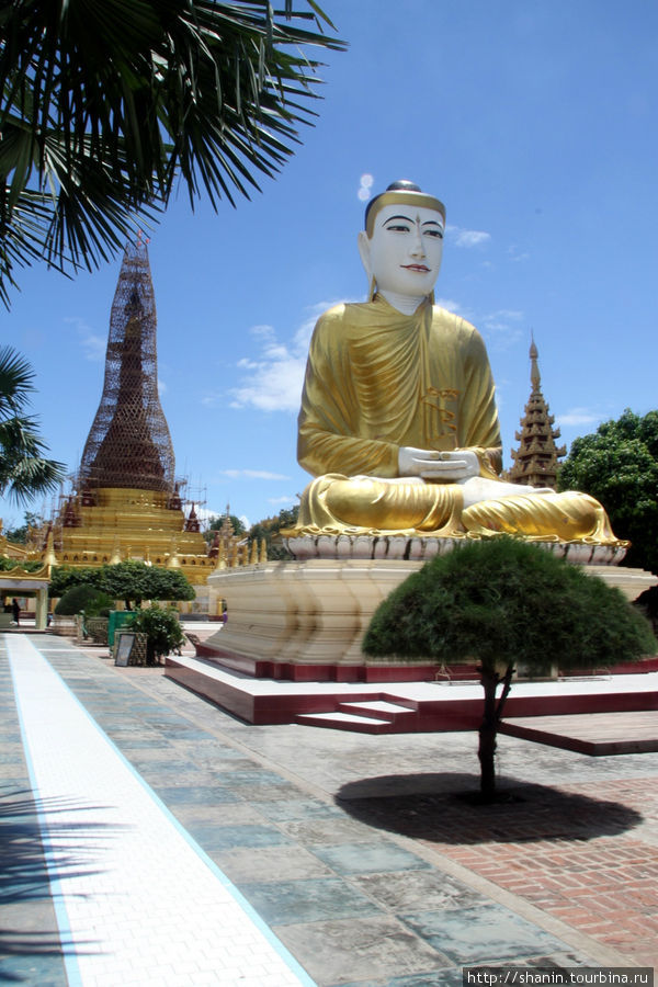 Будда и ступа. Пагода Шве Сиен Кхон в Мониве Монива, Мьянма