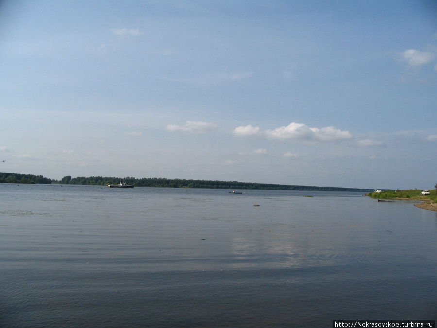 Река Волга в районе Бабаек Некрасовское, Россия