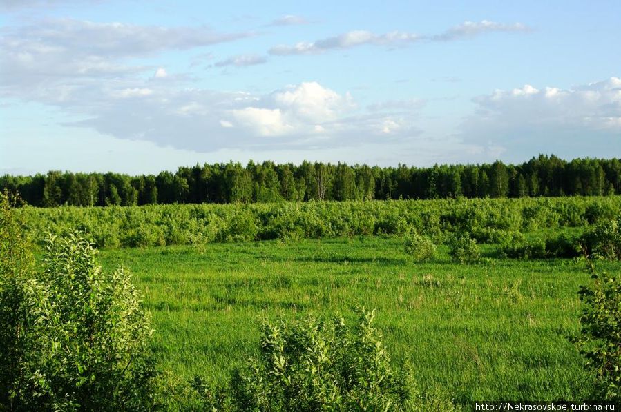 Окрестности Веденского Введенское, Россия