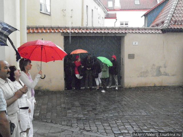 Дождь не слабый. Пришлось искать укрытие. Зонт не спасает! Таллин, Эстония
