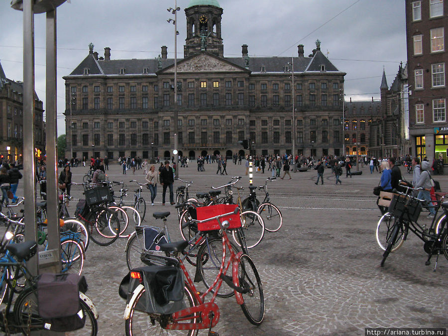 Резвый Амстердам — 2 Амстердам, Нидерланды